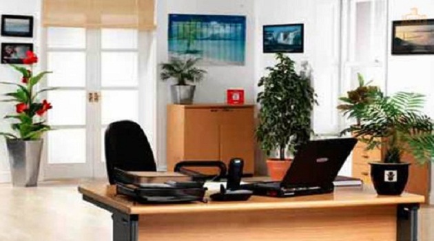 Văn phòng làm việc hợp phong thủy tăng vượng khí  Văn phòng làm việc hợp phong thủy tăng vượng khí